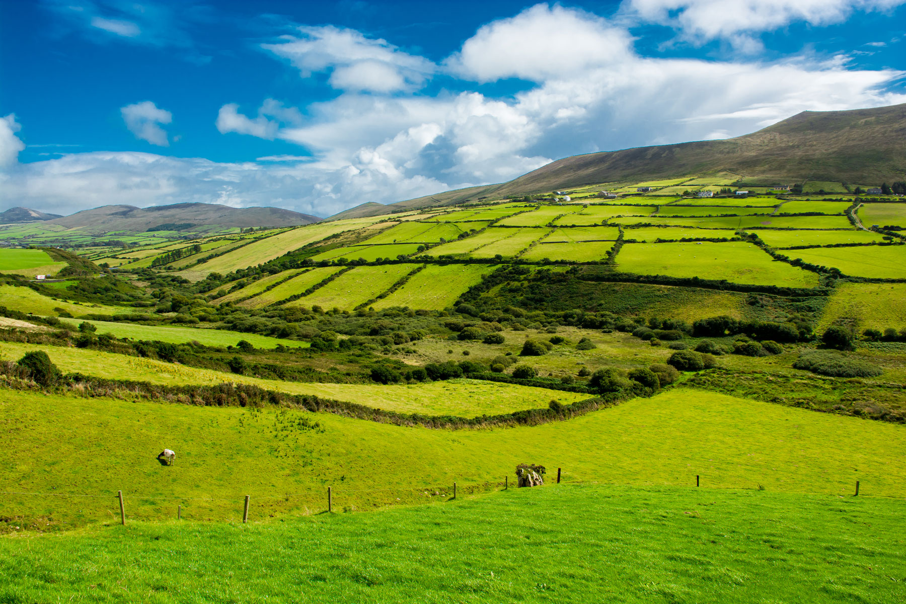 beautiful Irish midlands landscape