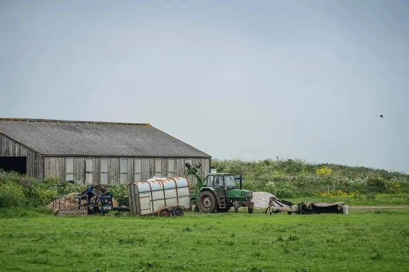 How Rural Broadband For Businesses Can Support Countryside Communities In Ireland